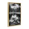 Stupell Industries Black & White Forest Reflection Framed Floater Canvas Wall Art Design by Rick Berk